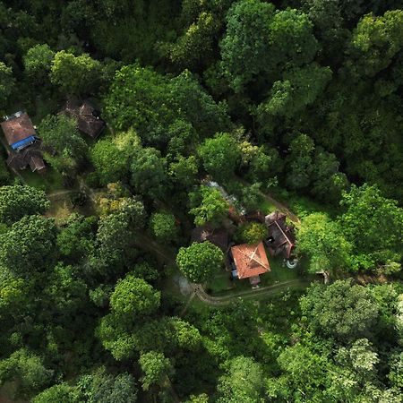 Mahout Resort Wayanad - An Experiential Jungle Stay With Waterfall Kalpatta Exteriér fotografie