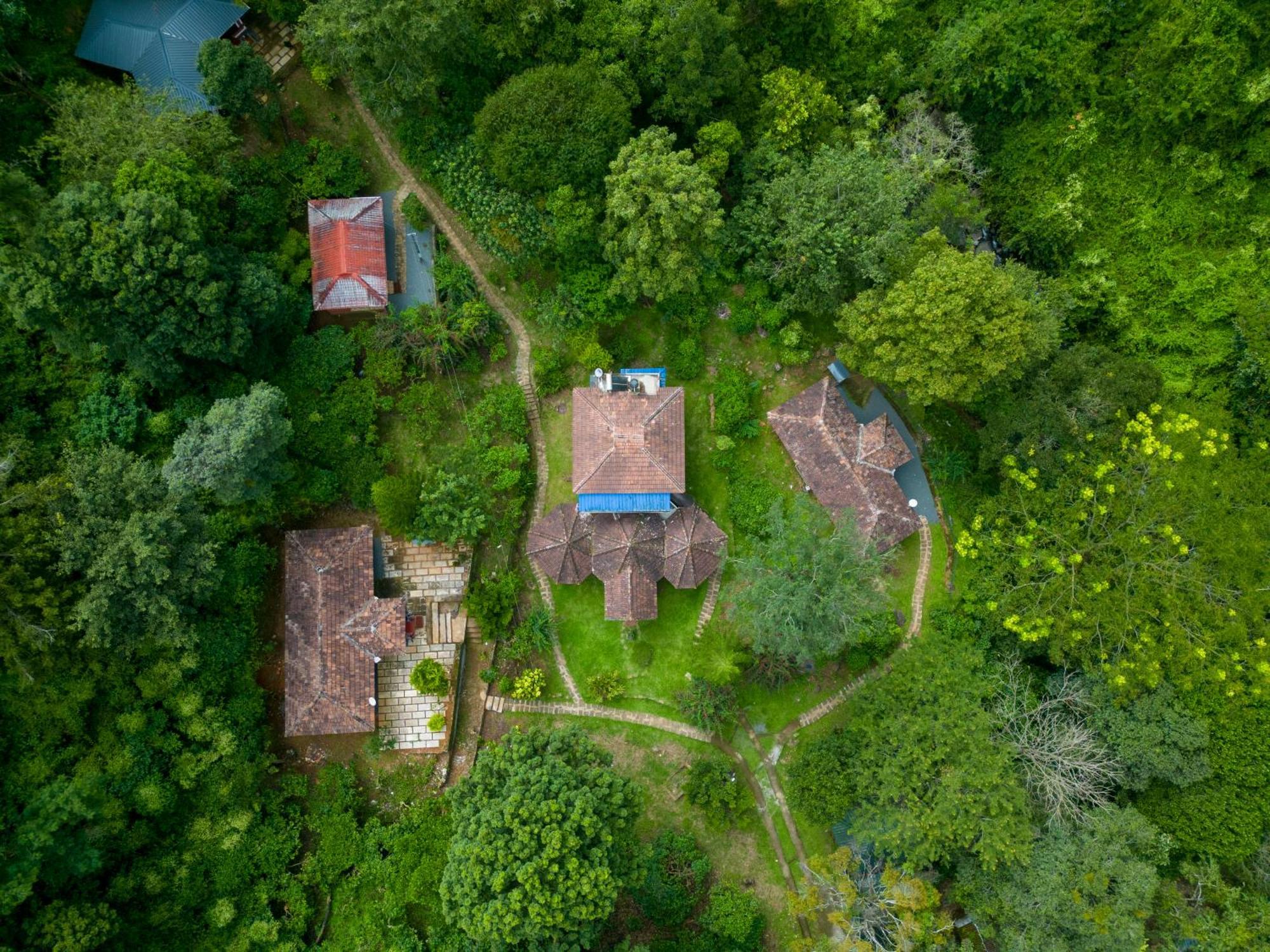 Mahout Resort Wayanad - An Experiential Jungle Stay With Waterfall Kalpatta Exteriér fotografie