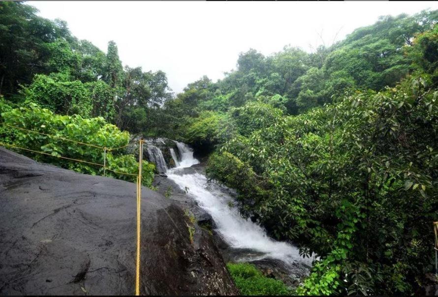 Mahout Resort Wayanad - An Experiential Jungle Stay With Waterfall Kalpatta Exteriér fotografie