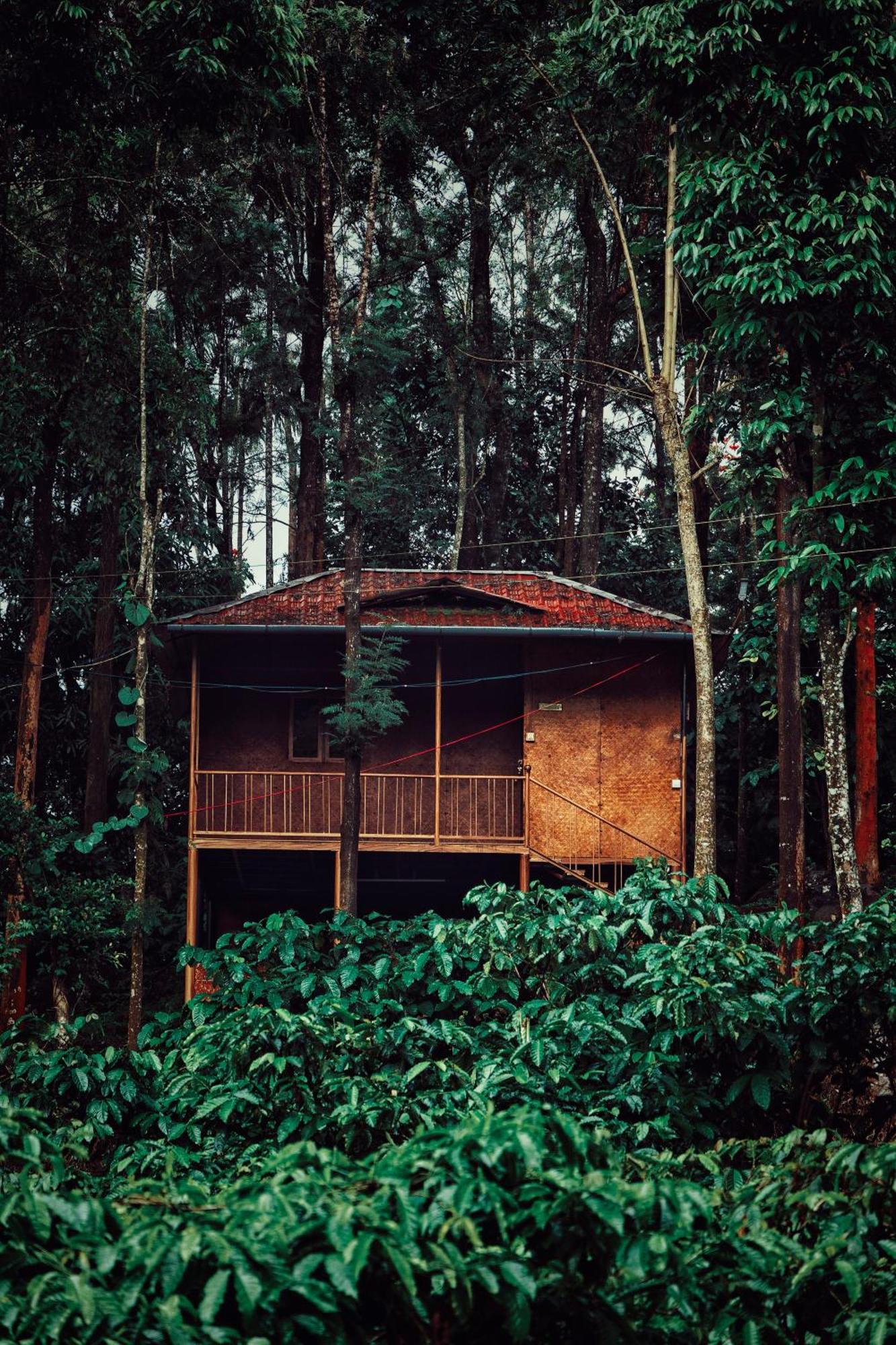 Mahout Resort Wayanad - An Experiential Jungle Stay With Waterfall Kalpatta Exteriér fotografie