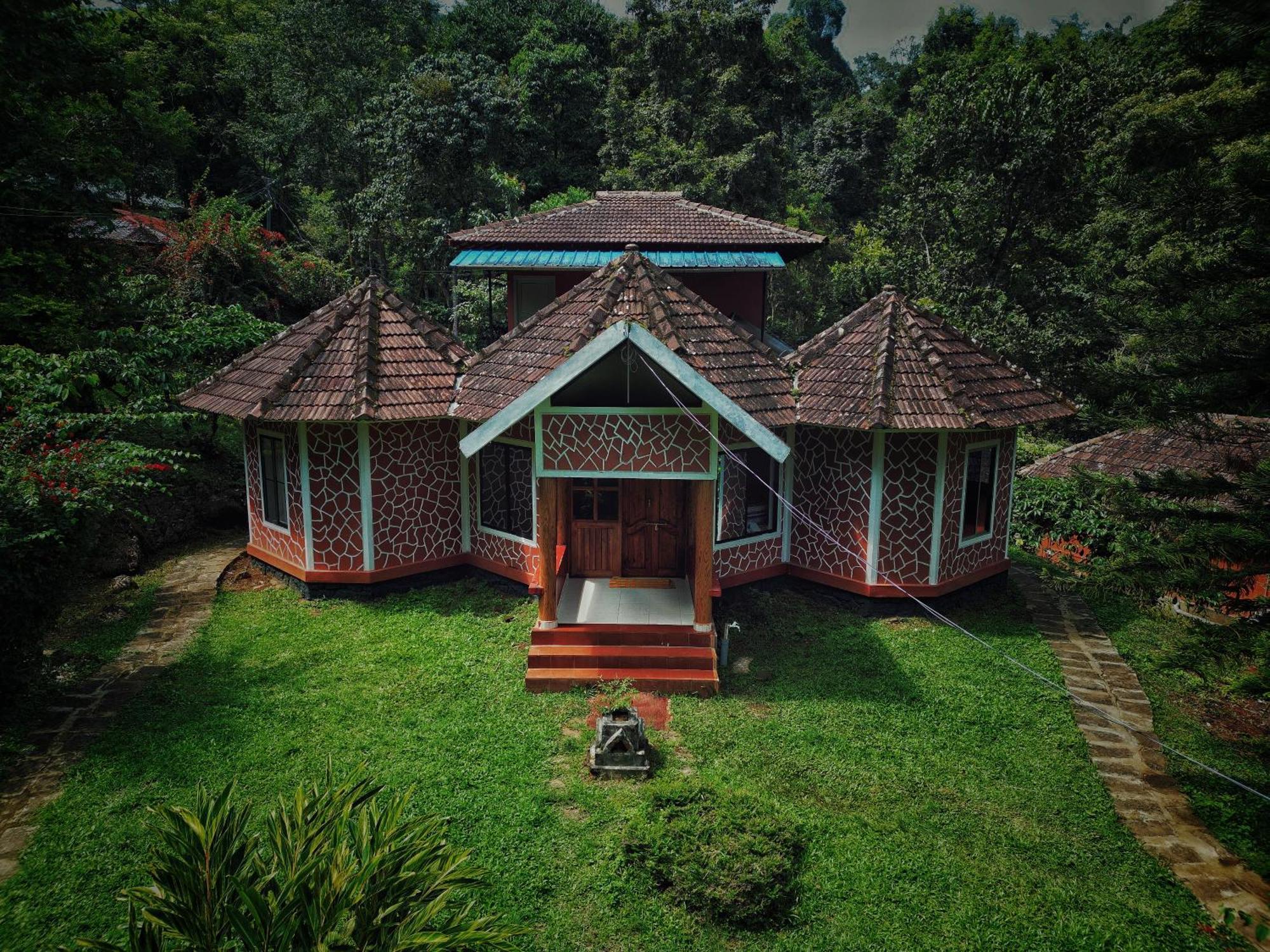 Mahout Resort Wayanad - An Experiential Jungle Stay With Waterfall Kalpatta Exteriér fotografie