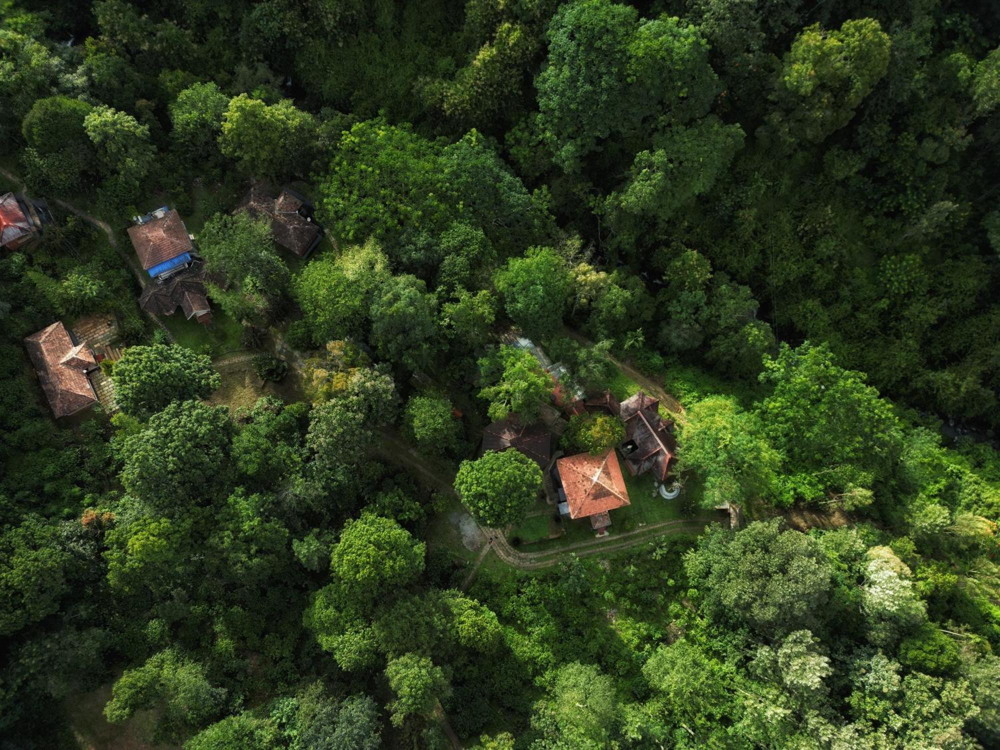 Mahout Resort Wayanad - An Experiential Jungle Stay With Waterfall Kalpatta Exteriér fotografie
