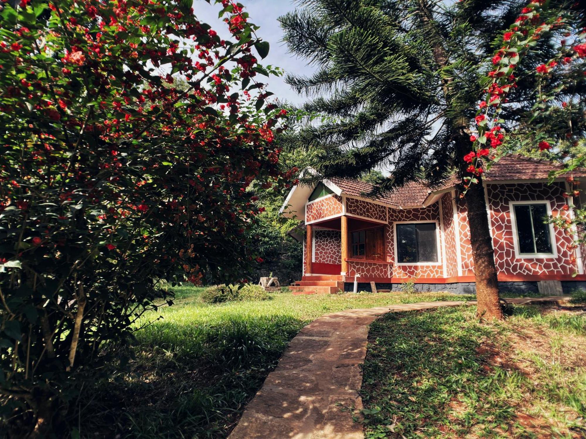Mahout Resort Wayanad - An Experiential Jungle Stay With Waterfall Kalpatta Exteriér fotografie