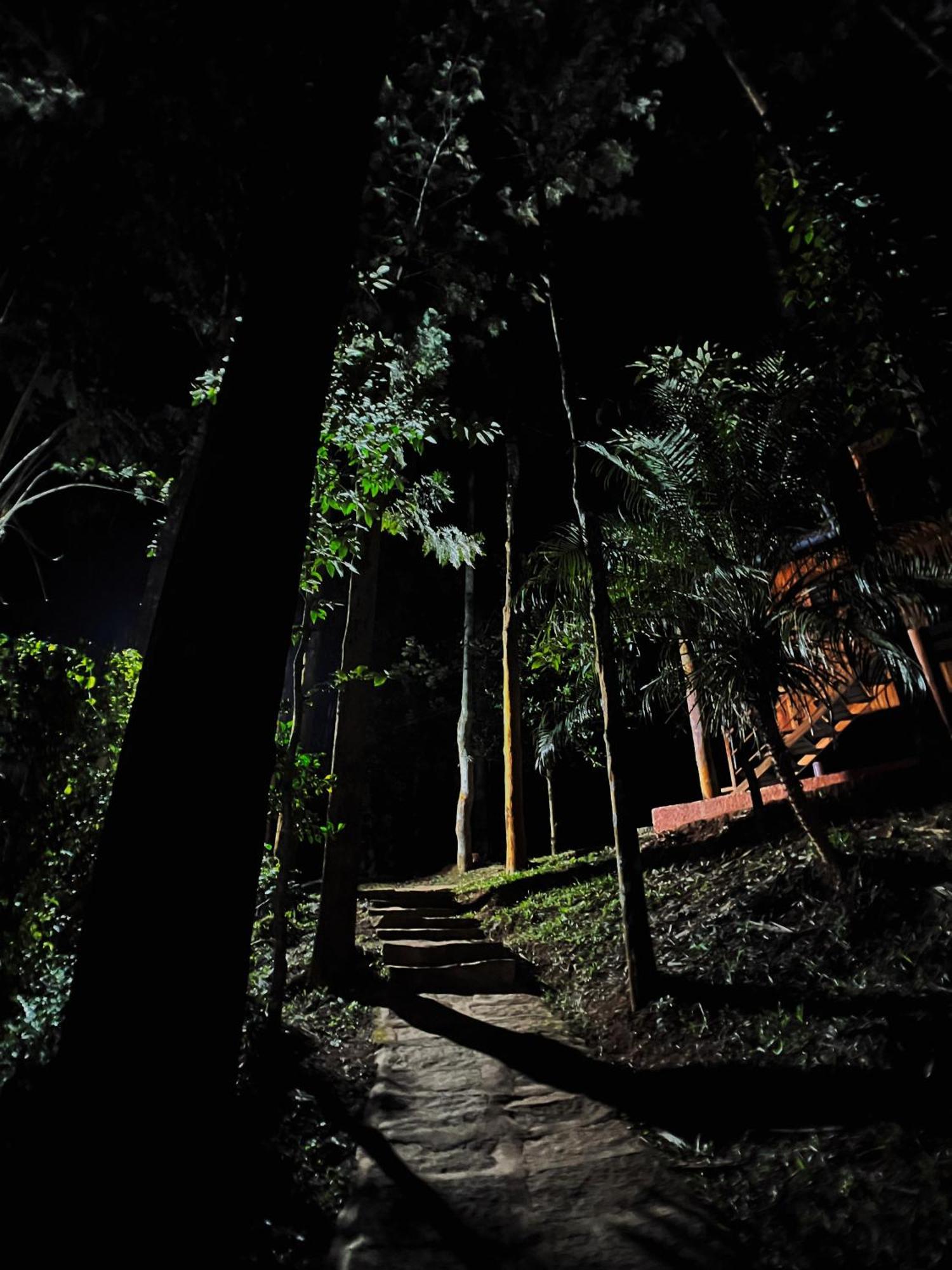 Mahout Resort Wayanad - An Experiential Jungle Stay With Waterfall Kalpatta Exteriér fotografie