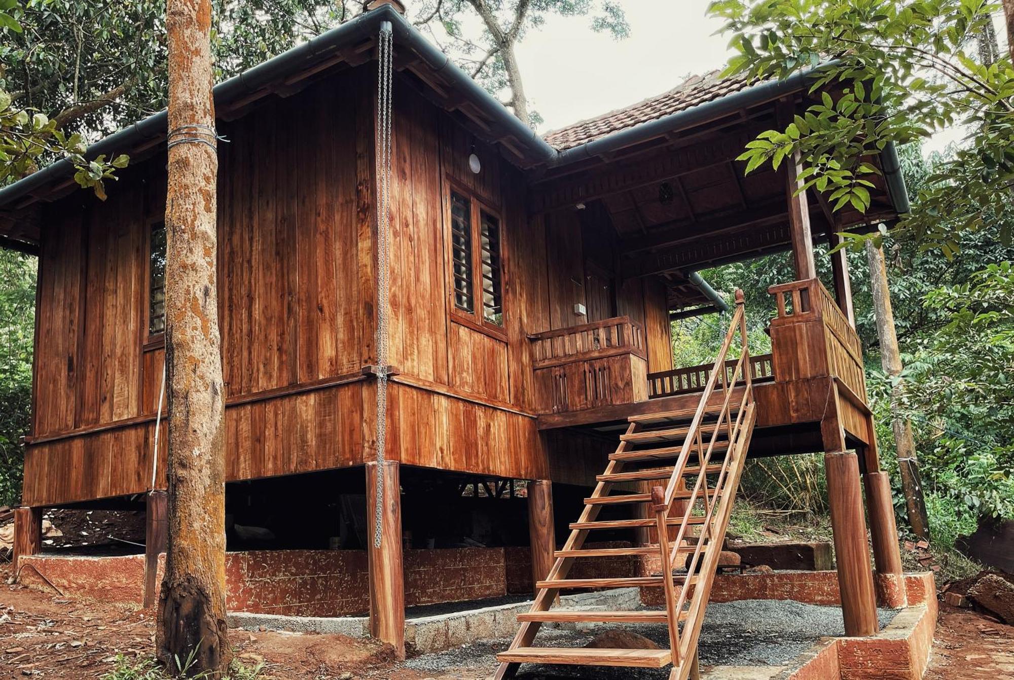 Mahout Resort Wayanad - An Experiential Jungle Stay With Waterfall Kalpatta Exteriér fotografie