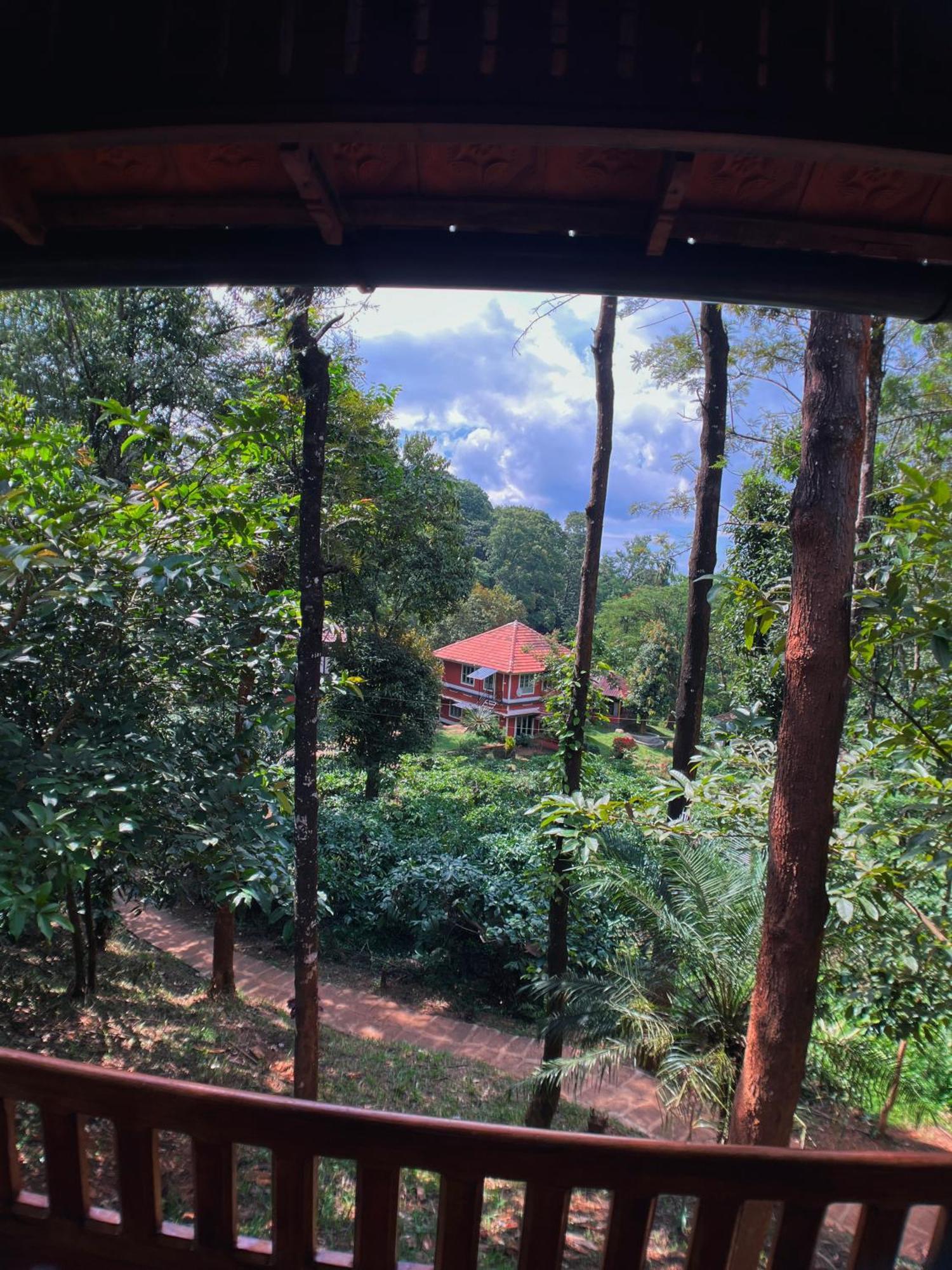Mahout Resort Wayanad - An Experiential Jungle Stay With Waterfall Kalpatta Exteriér fotografie
