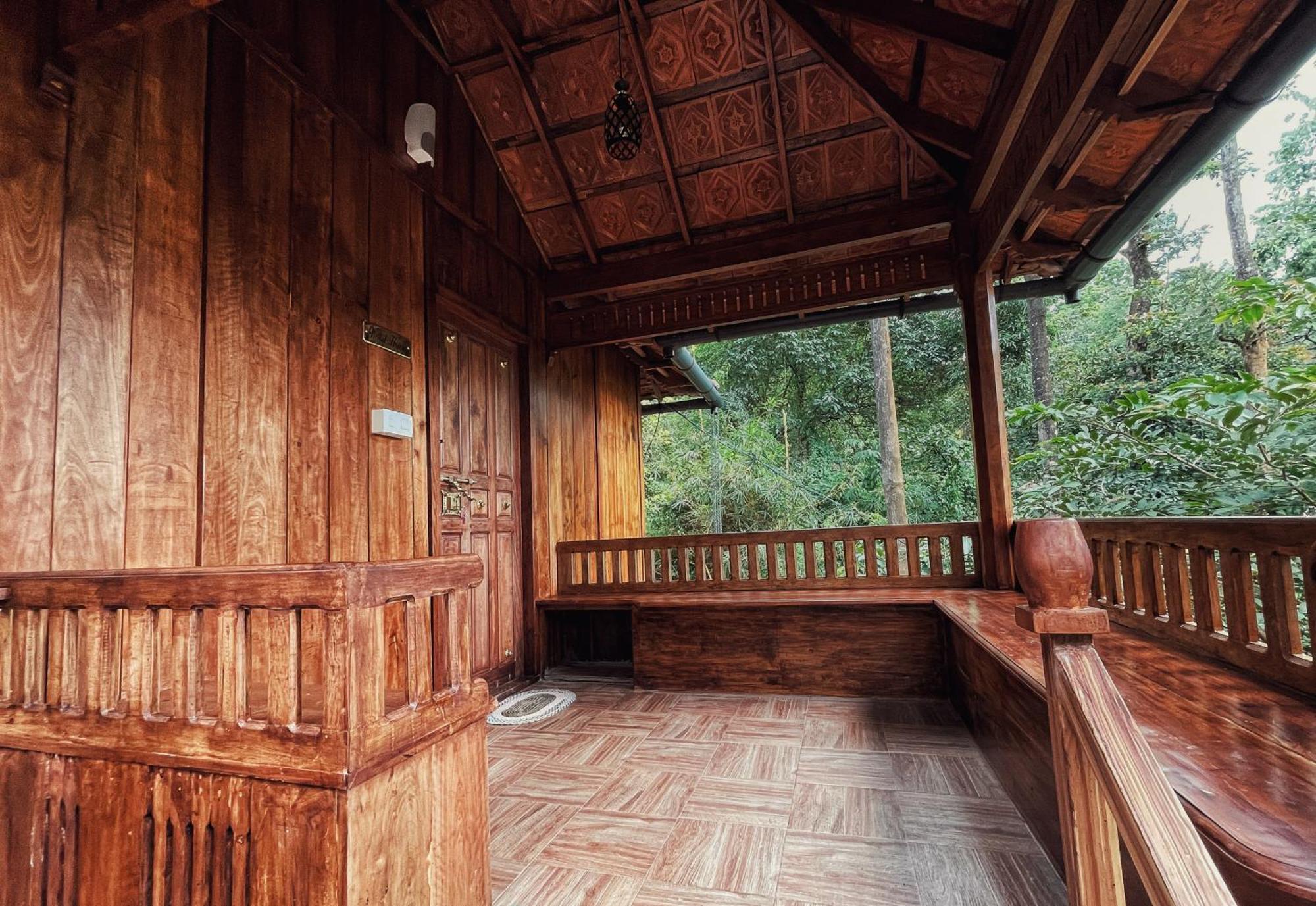 Mahout Resort Wayanad - An Experiential Jungle Stay With Waterfall Kalpatta Exteriér fotografie