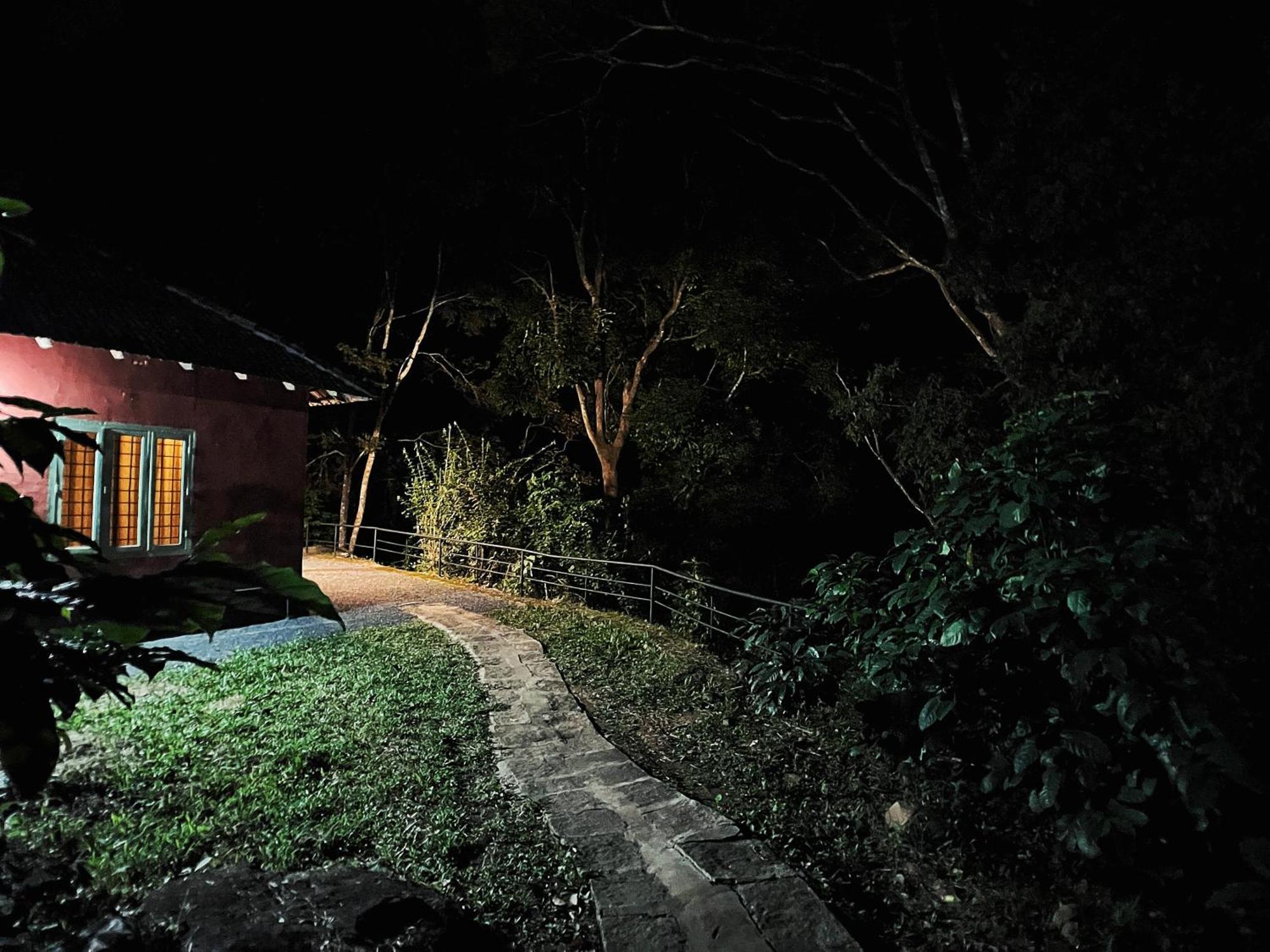 Mahout Resort Wayanad - An Experiential Jungle Stay With Waterfall Kalpatta Exteriér fotografie