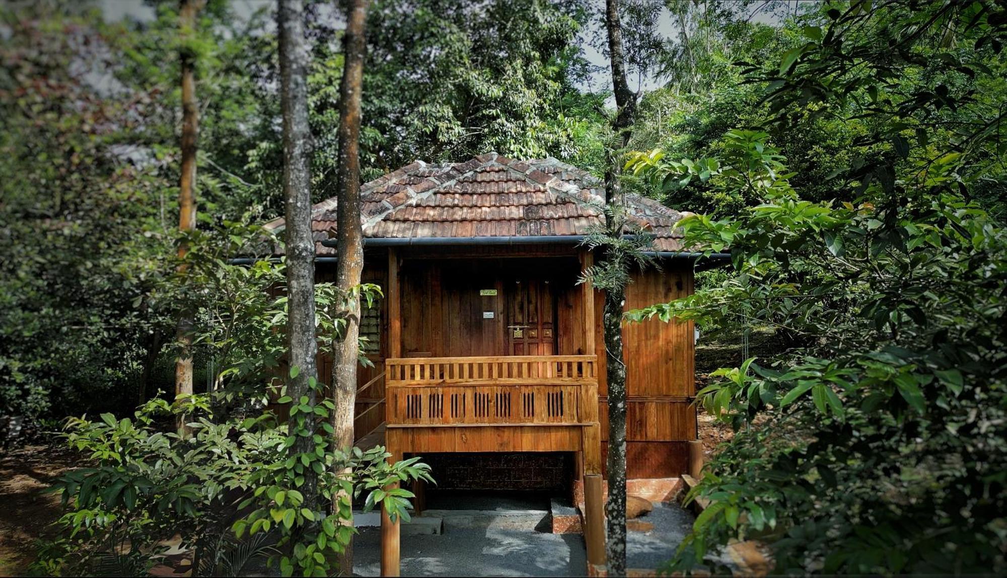 Mahout Resort Wayanad - An Experiential Jungle Stay With Waterfall Kalpatta Exteriér fotografie